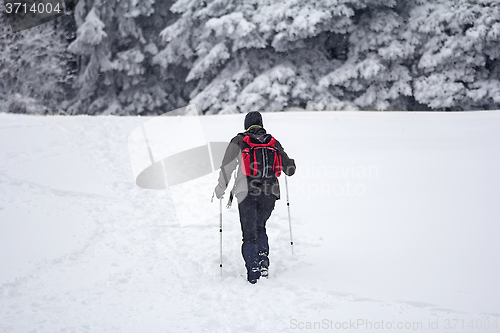 Image of Mountaineer in the snow forest