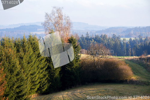 Image of Vysocina landscape with forest