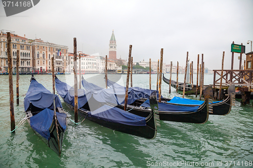 Image of Gondolas floating in Grand Canal