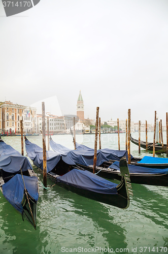 Image of Gondolas floating in Grand Canal