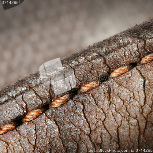 Image of Close-up of old stiches in leather