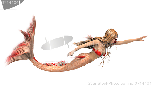 Image of Fantasy Mermaid on White