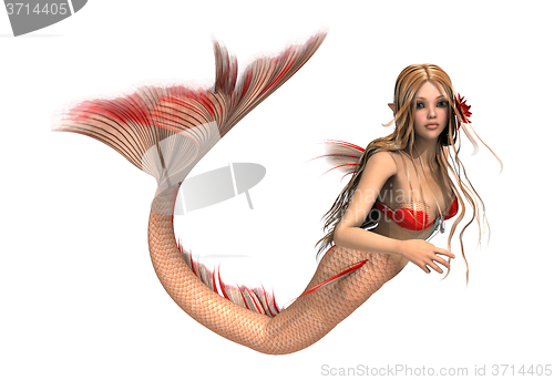 Image of Fantasy Mermaid on White