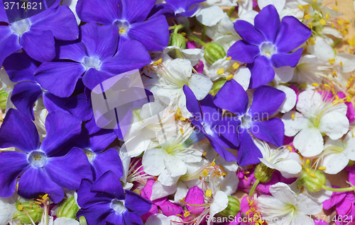 Image of Background flowers