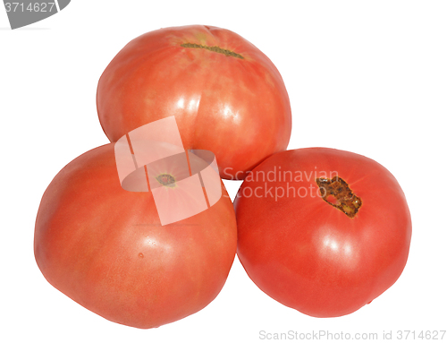 Image of Tomato