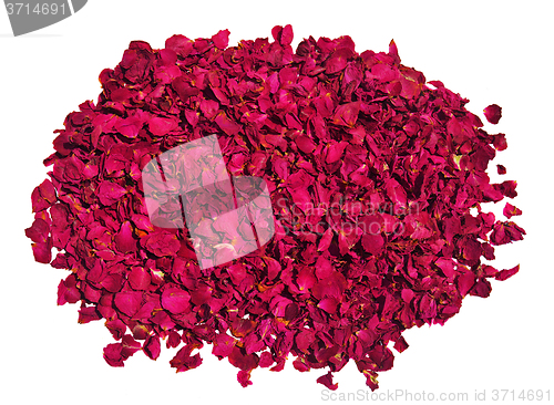 Image of Dried red roses