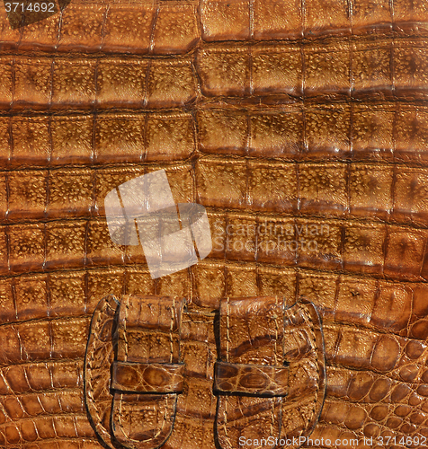 Image of Leather background