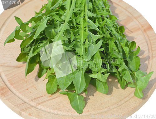 Image of Leaves of dandelion