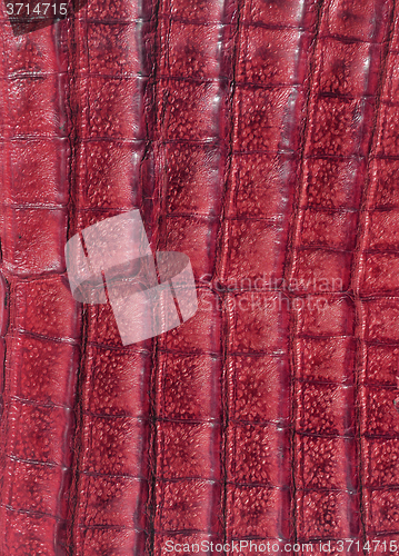 Image of Leather background