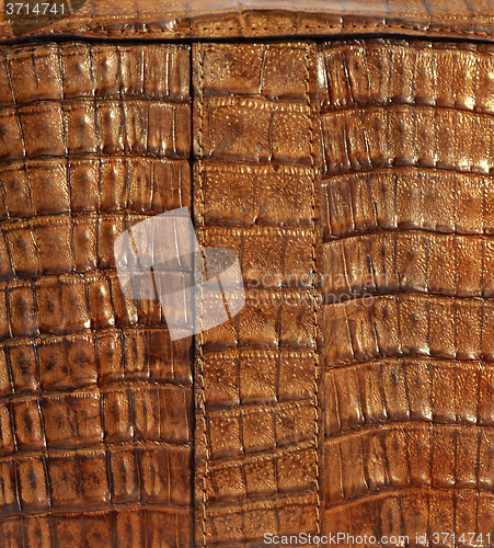 Image of Leather background
