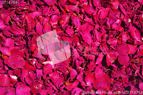 Image of Background from red roses