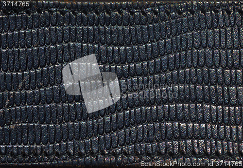 Image of Leather belt