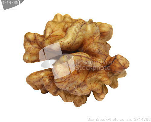 Image of Walnut kernels