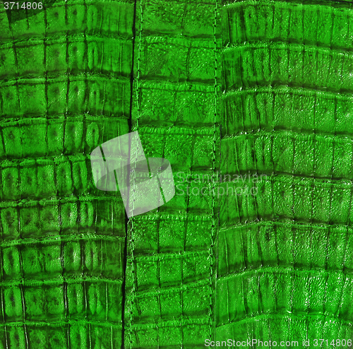 Image of Leather background