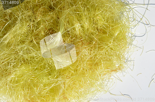 Image of Maize hair