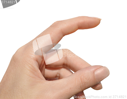 Image of Woman\'s hand