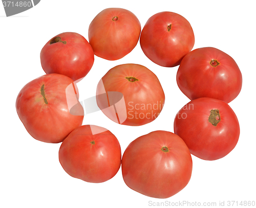 Image of Tomato