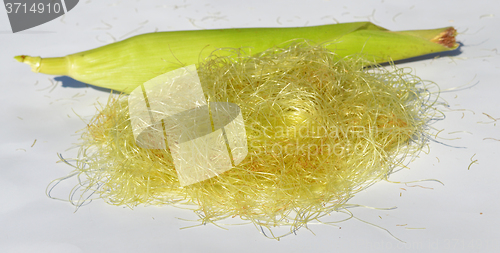 Image of Young corn with leaves