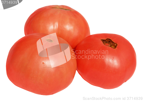 Image of Tomato