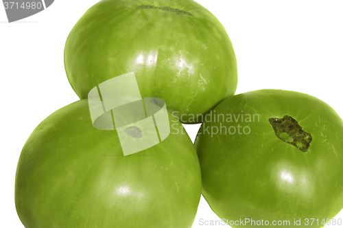 Image of Tomato