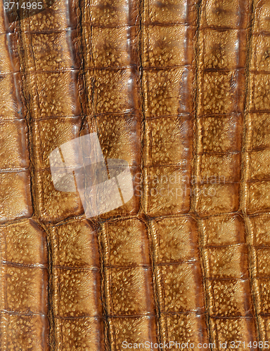 Image of Leather background