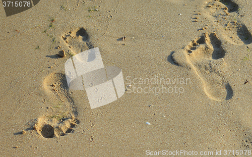 Image of Steps on the beach