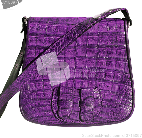 Image of Handbag