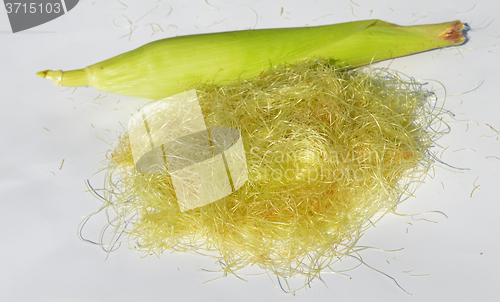 Image of Young corn with leaves