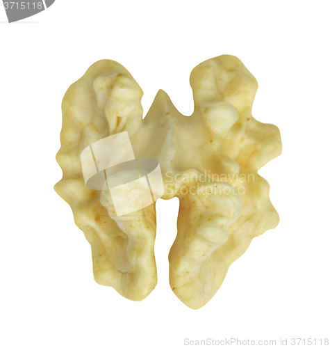 Image of Walnut kernels