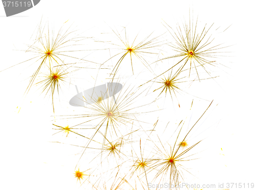 Image of Background from dandelion fluff