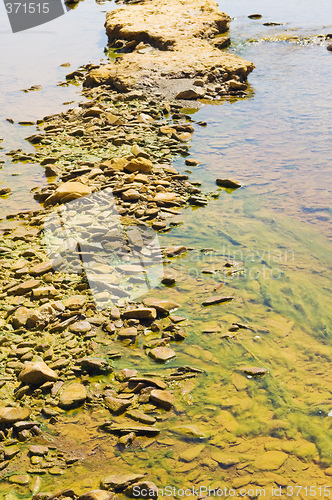 Image of Polluted river detail