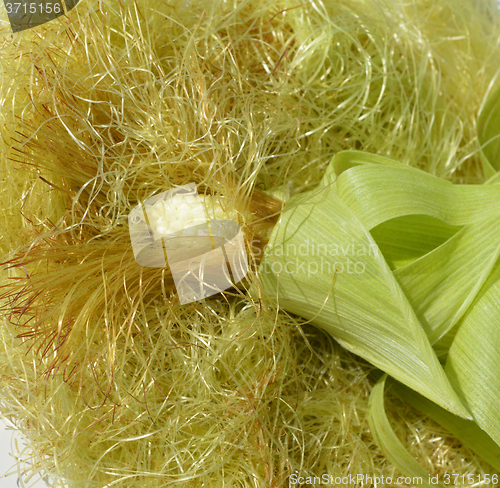 Image of Young corn with leaves