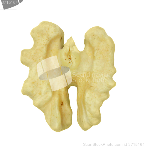 Image of Walnut kernels