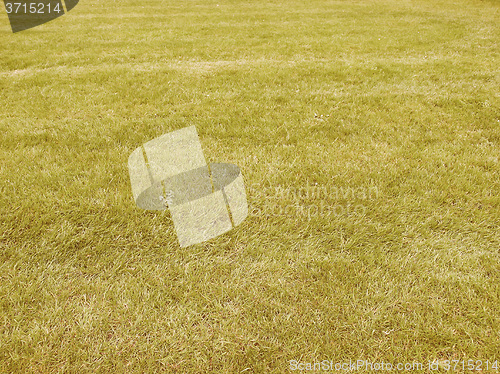 Image of Retro looking Grass meadow