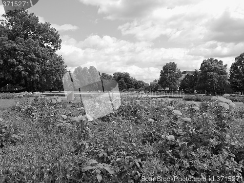 Image of Gardens in Stuttgart Germany