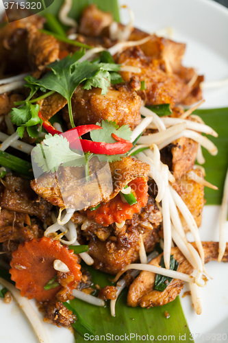 Image of Radish Cake Thai Food Dish