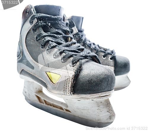 Image of Hockey skate. Ice-skate isolated