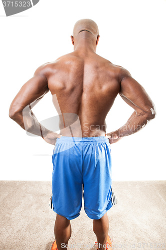 Image of Muscular Mans Back