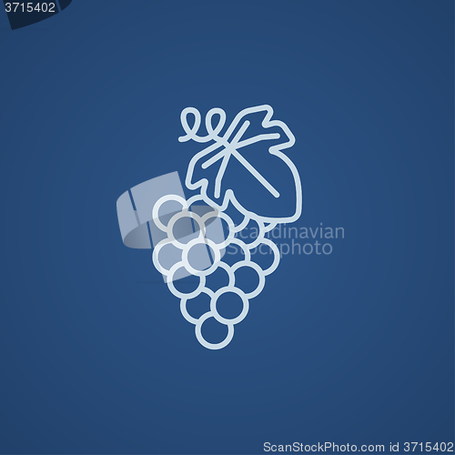 Image of Grape line icon.