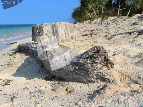 Image of Driftwood on tropical beach.