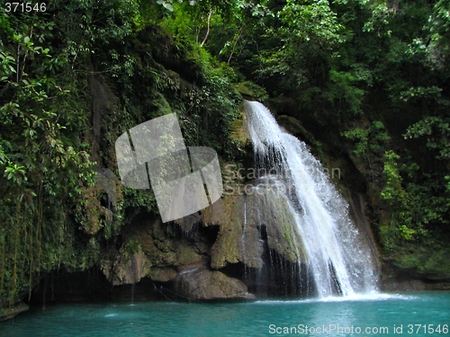 Image of Tropical waterfall in jungle