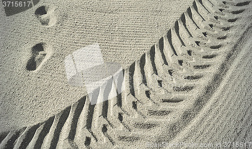 Image of Traces on the beach sand