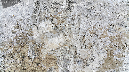 Image of Stone texture with fossils