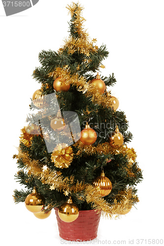 Image of small christmas tree in pot with yellow balls 