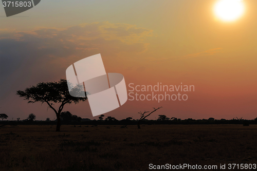 Image of African sunset