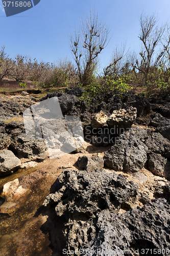 Image of rock formation coastline at Nusa Penida island