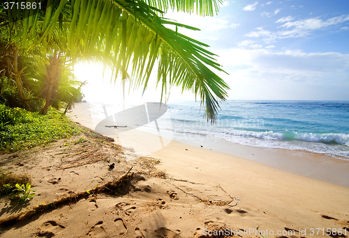 Image of Beach and ocean