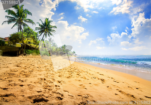 Image of Sunlight over beach