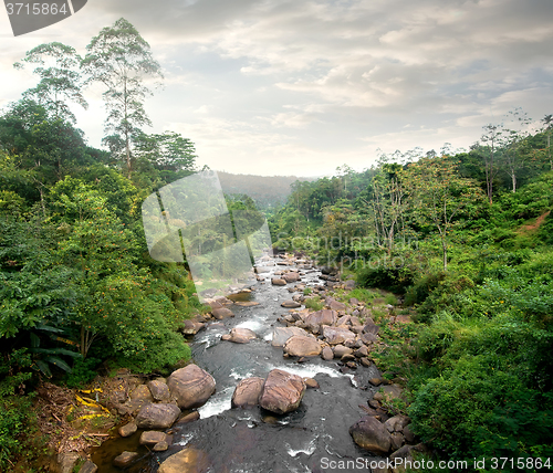 Image of Cloudy weather and river