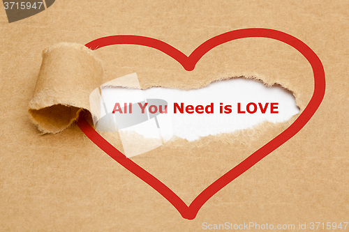 Image of All You Need is Love Torn Paper